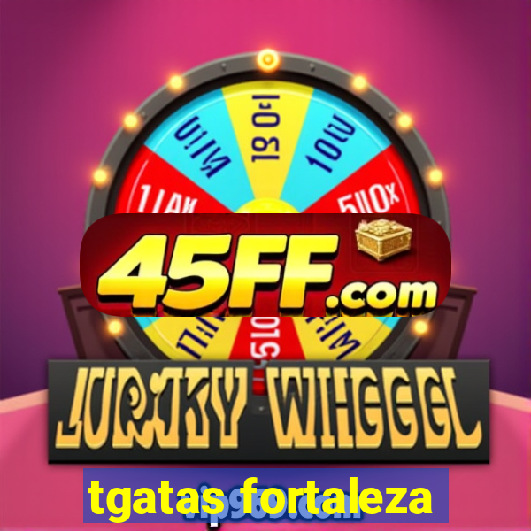 tgatas fortaleza